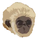 Primates' Treehouse