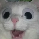 *HEAVY CREAM*