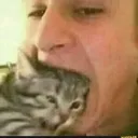 Non Homo