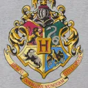 Hogwarts- Marauder’s Era