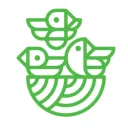 The Bird's Nest