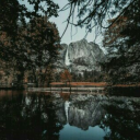 Friends â€¢ Community Server Icon