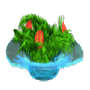 The Salad Bowl