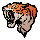 BD TIGER™