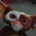 Mogwai Militia