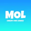 Micro Owl Leaks (BETA)