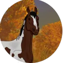 Caros Community