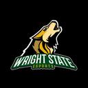 Wright State eSports Discord Server Icon