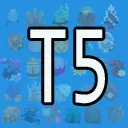 T5