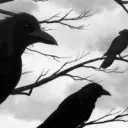The Space Rookery