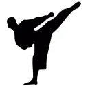 Martial Arts Server