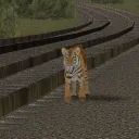 The San Andreas Tigerz