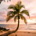 South Pacific