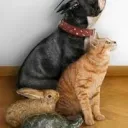 NB Pet Enthusiasts Discord