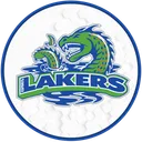 FLCC Esports