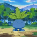 Oddish Server