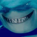 JAwS