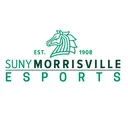 Morrisville Esports