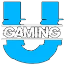 Unorthodox Gaming