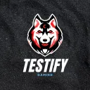 TeamTestify