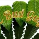 BC BUD GUY'S