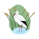 [HM] Huliaipole & Winecraft