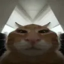 ꜱᴍɪʟᴇ'ꜱ ʙᴀꜱᴇᴍᴇɴᴛ