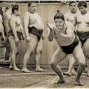 Ultimate Sumo Experience