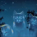 Warrior Cats Roleplay