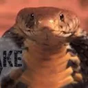 Snek world