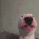 Walter