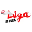 Liga Seinen
