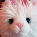 Conspiracy Catz