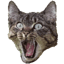 ☣ NESTLI ☣