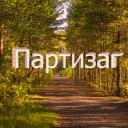 Партизаг пати