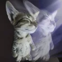 geranamole's discord kittens