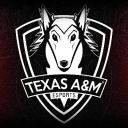 Texas A&M Esports icon