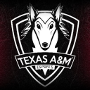 Discovery icon for Texas A&M Esports Discord server