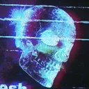 TeamSESH
