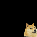 Secret Memes
