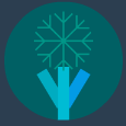 Winterflower Studio Server Icon