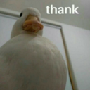 uwu Server Icon