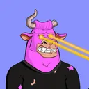 Bandit Bull Club