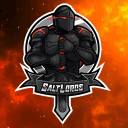 SALTLORDS LLC.