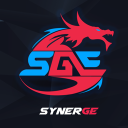 Synergy Gaming icon