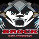 Brock League of Legends