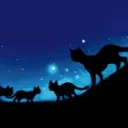 *~+ Warrior Cats - The Forgotten Forest +~*
