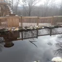 tessa's chill chat