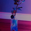 chill//talk server