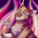 TDF34 Fan Discord